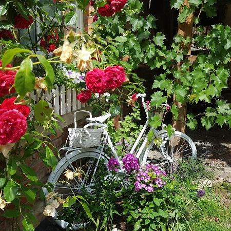 Romantisches Rosencottage Hofheim in Unterfranken Екстериор снимка